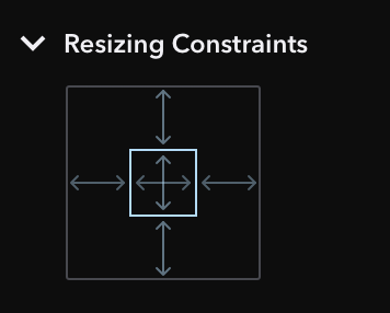 Customized Resizing Constraints