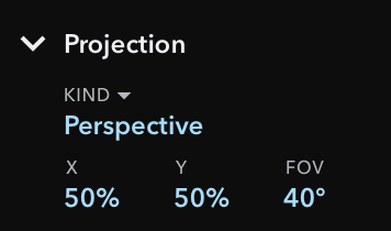 Inspector Section for Projection